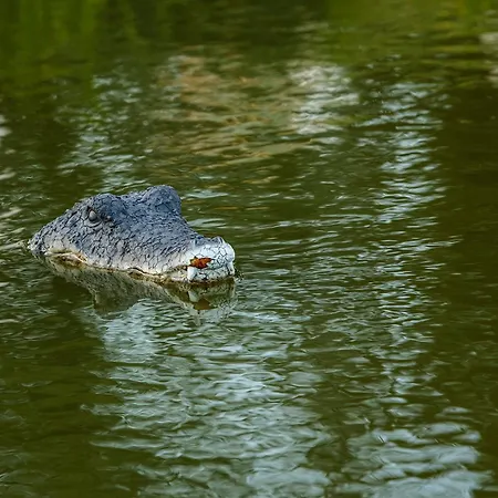 Ranczo U Loni Września