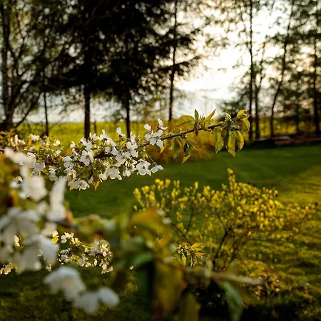 Ranczo U Loni * Wrzesnia (Jedrzejow)