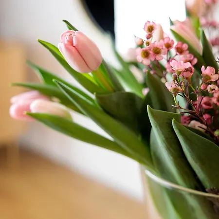 Ferienhaus Ranczo U Loni Wrzesnia (Jedrzejow)