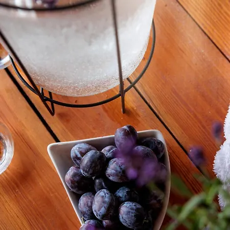 Ranczo U Loni Ferienhaus *