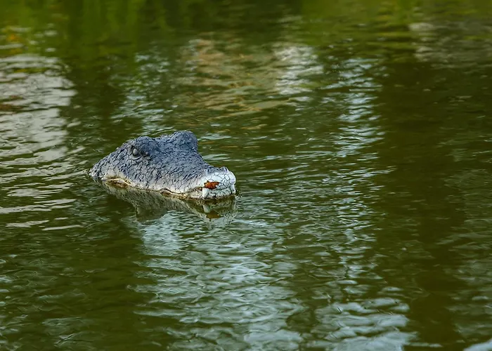 Ranczo U Loni Wrzesnia (Jedrzejow)