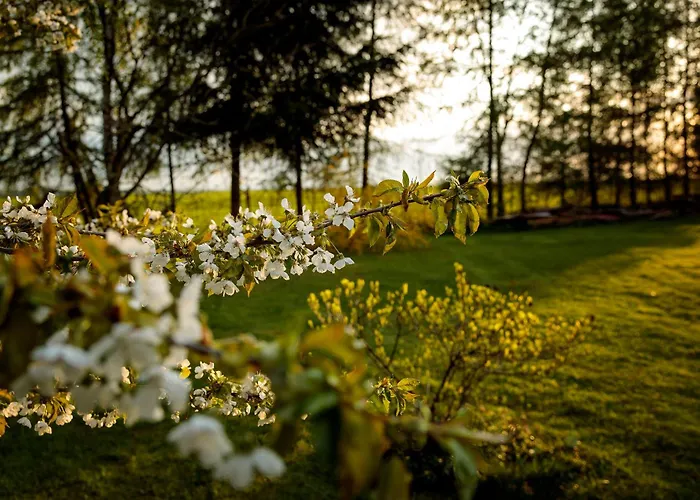 Ranczo U Loni * Wrzesnia (Jedrzejow)