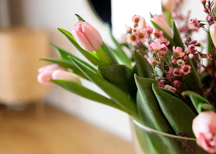 בית נופש Ranczo U Loni Wrzesnia (Jedrzejow)